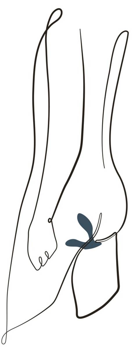 We-Vibe Vector Prostatavibrator